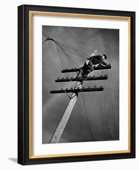 NY Telephone Co. Lineman Wallace Burdick Repairs Telephone Lines Between Valhalla and Brewster-Margaret Bourke-White-Framed Photographic Print