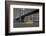 Ny Water Taxi under Brooklyn Bridge-Phil Maier-Framed Photographic Print