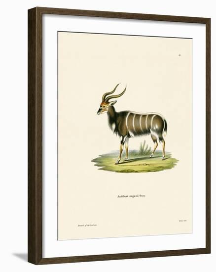 Nyala-null-Framed Giclee Print