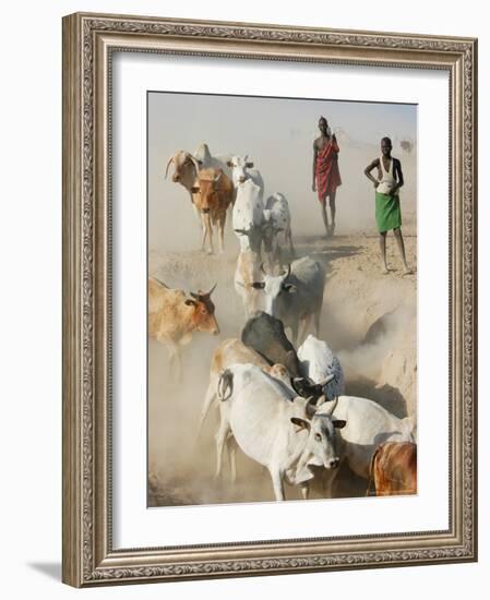 Nyangatom Herdsmen Leading Cattle over Arid Plain to Omo River, Omo River Valley, Ethiopia-Alison Jones-Framed Photographic Print