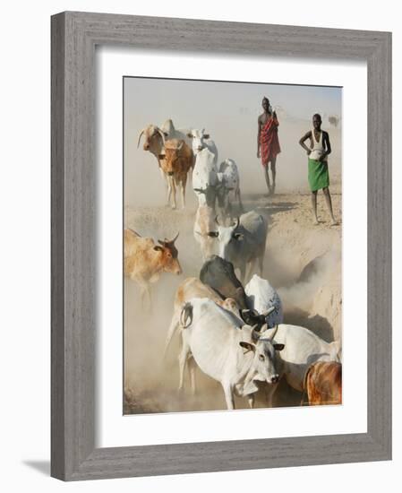 Nyangatom Herdsmen Leading Cattle over Arid Plain to Omo River, Omo River Valley, Ethiopia-Alison Jones-Framed Photographic Print