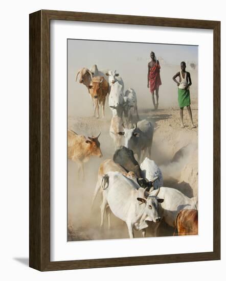 Nyangatom Herdsmen Leading Cattle over Arid Plain to Omo River, Omo River Valley, Ethiopia-Alison Jones-Framed Photographic Print