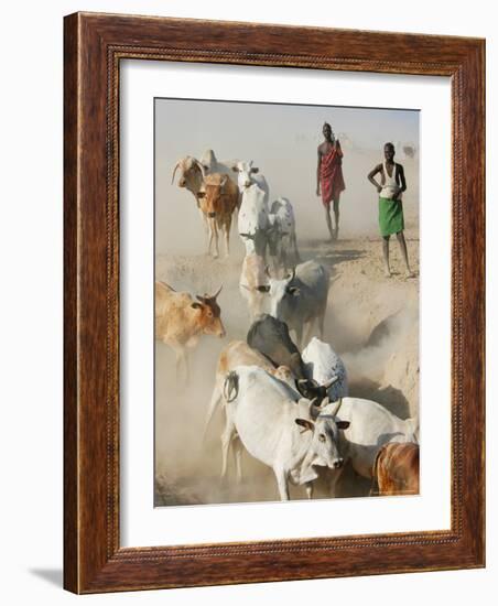 Nyangatom Herdsmen Leading Cattle over Arid Plain to Omo River, Omo River Valley, Ethiopia-Alison Jones-Framed Photographic Print