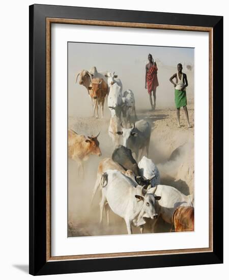 Nyangatom Herdsmen Leading Cattle over Arid Plain to Omo River, Omo River Valley, Ethiopia-Alison Jones-Framed Photographic Print