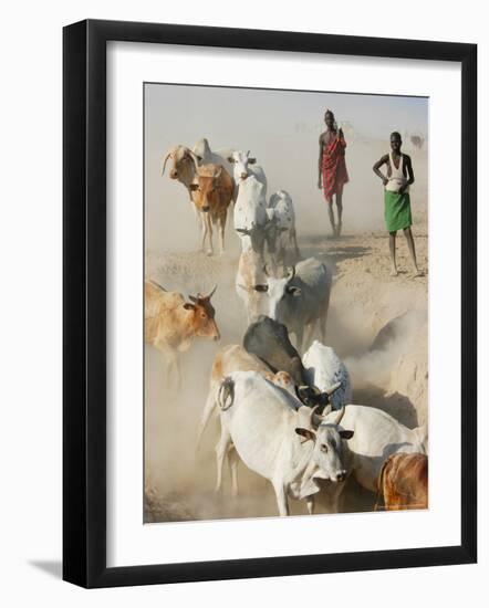 Nyangatom Herdsmen Leading Cattle over Arid Plain to Omo River, Omo River Valley, Ethiopia-Alison Jones-Framed Photographic Print