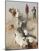 Nyangatom Herdsmen Leading Cattle over Arid Plain to Omo River, Omo River Valley, Ethiopia-Alison Jones-Mounted Photographic Print