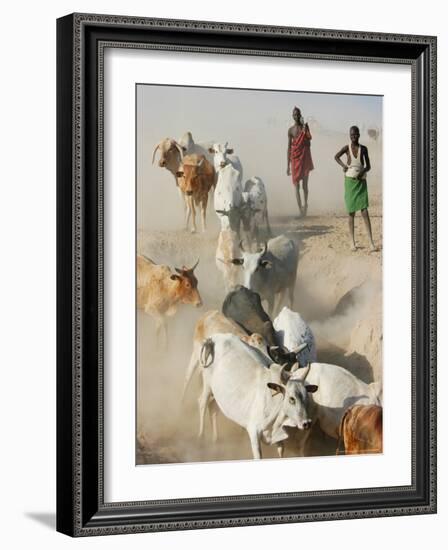 Nyangatom Herdsmen Leading Cattle over Arid Plain to Omo River, Omo River Valley, Ethiopia-Alison Jones-Framed Photographic Print