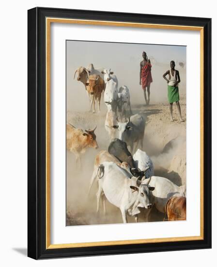 Nyangatom Herdsmen Leading Cattle over Arid Plain to Omo River, Omo River Valley, Ethiopia-Alison Jones-Framed Photographic Print