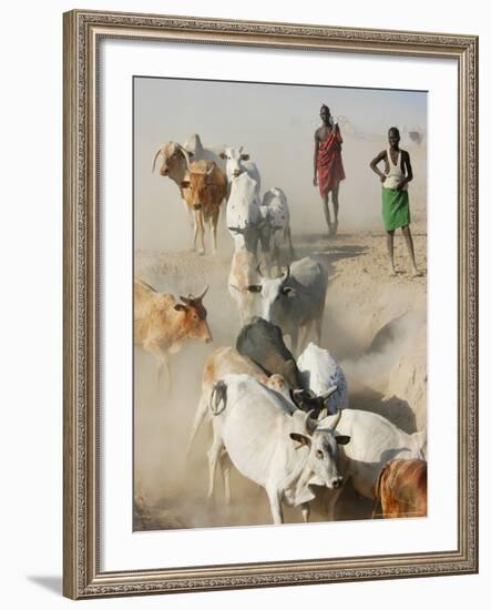 Nyangatom Herdsmen Leading Cattle over Arid Plain to Omo River, Omo River Valley, Ethiopia-Alison Jones-Framed Photographic Print