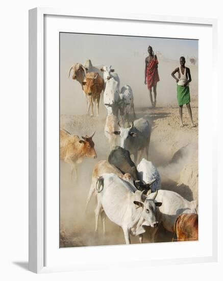 Nyangatom Herdsmen Leading Cattle over Arid Plain to Omo River, Omo River Valley, Ethiopia-Alison Jones-Framed Photographic Print