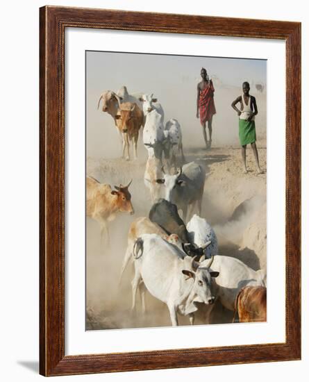 Nyangatom Herdsmen Leading Cattle over Arid Plain to Omo River, Omo River Valley, Ethiopia-Alison Jones-Framed Photographic Print