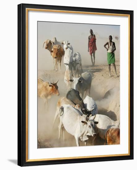 Nyangatom Herdsmen Leading Cattle over Arid Plain to Omo River, Omo River Valley, Ethiopia-Alison Jones-Framed Photographic Print