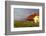 Nyborg-Korsor Bridge, Korsor, Southern Denmark, Denmark, Scandinavia, Europe-Doug Pearson-Framed Photographic Print