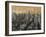 NYC II-Dario Moschetta-Framed Art Print