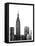 NYC in Pure B&W XVIII-Jeff Pica-Framed Stretched Canvas