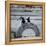 NYC Japanese Bridge-Banksy-Framed Premier Image Canvas