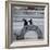 NYC Japanese Bridge-Banksy-Framed Giclee Print