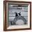 NYC Japanese Bridge-Banksy-Framed Giclee Print