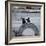 NYC Japanese Bridge-Banksy-Framed Giclee Print