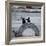 NYC Japanese Bridge-Banksy-Framed Giclee Print