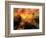 Nyc Sunlight-rolffimages-Framed Art Print