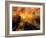 Nyc Sunlight-rolffimages-Framed Art Print