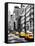 NYC Yellow Taxis / Cabs on Broadway Avenue in Manhattan - New York City - United States-Philippe Hugonnard-Framed Premier Image Canvas