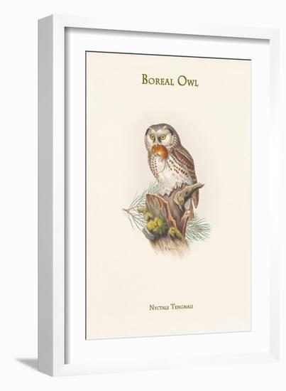 Nyctale Tengmali - Boreal Owl-John Gould-Framed Art Print