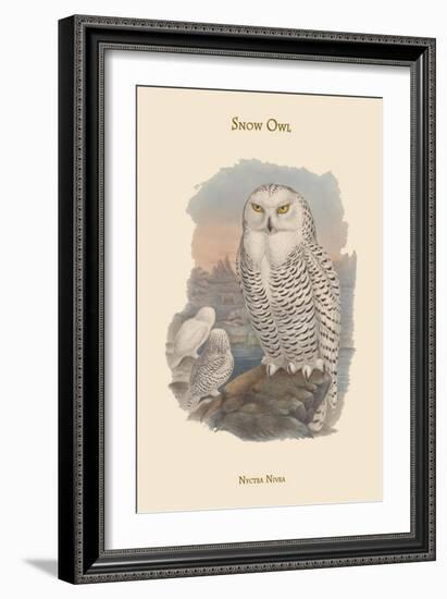 Nyctea Nivea - Snow Owl-John Gould-Framed Art Print