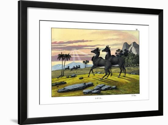 Nylghau, 1860-null-Framed Giclee Print