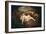 Nymph and Satyr (Jupiter and Antiop)-Jean Antoine Watteau-Framed Giclee Print