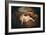 Nymph and Satyr (Jupiter and Antiop)-Jean Antoine Watteau-Framed Giclee Print