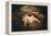 Nymph and Satyr (Jupiter and Antiop)-Jean Antoine Watteau-Framed Premier Image Canvas