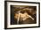 Nymph and Satyr-Jean Antoine Watteau-Framed Giclee Print