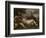 Nymph and Shepherd, 1570-75-Titian-Framed Giclee Print