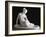 Nymphe au scorpion-Lorenzo Bartolini-Framed Giclee Print