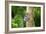 Nymphéa-Viviane Fedieu Daniel-Framed Photographic Print