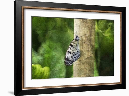 Nymphéa-Viviane Fedieu Daniel-Framed Photographic Print