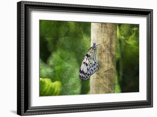 Nymphéa-Viviane Fedieu Daniel-Framed Photographic Print