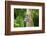 Nymphéa-Viviane Fedieu Daniel-Framed Photographic Print