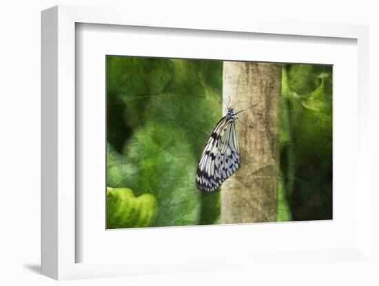 Nymphéa-Viviane Fedieu Daniel-Framed Photographic Print