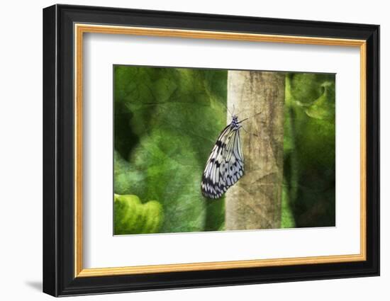 Nymphéa-Viviane Fedieu Daniel-Framed Photographic Print