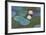 Nympheas, 1897-8-Claude Monet-Framed Giclee Print