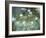 Nymphéas, 1910, (Ausschnitt)-Claude Monet-Framed Giclee Print