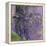 Nympheas, 1916-19-Claude Monet-Framed Premier Image Canvas