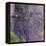 Nympheas, 1916-19-Claude Monet-Framed Premier Image Canvas