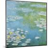 Nympheas at Giverny-Claude Monet-Mounted Giclee Print