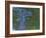 Nympheas, C. 1914-1917-Claude Monet-Framed Giclee Print