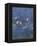 Nympheas-Detail-Claude Monet-Framed Premier Image Canvas