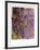 Nympheas-Claude Monet-Framed Art Print